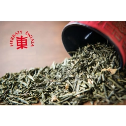 Herbata zielona sencha KAKTUSOWA